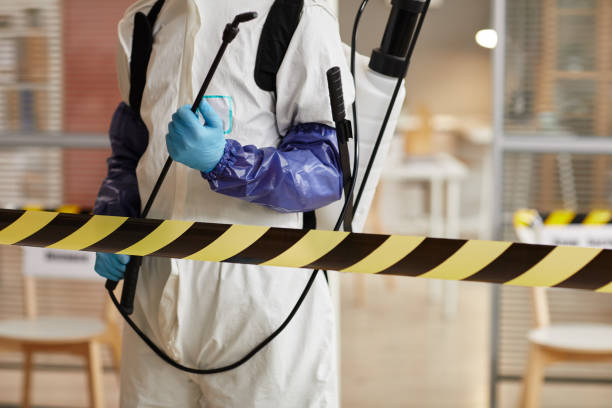 Professional Sewage Cleanup technician working in Delaware, OH